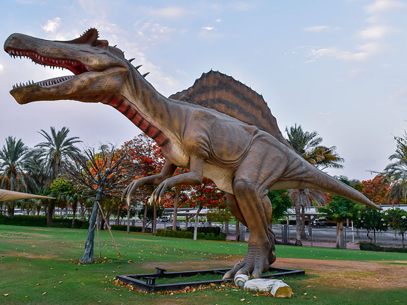 Dinosaur Park Dubai