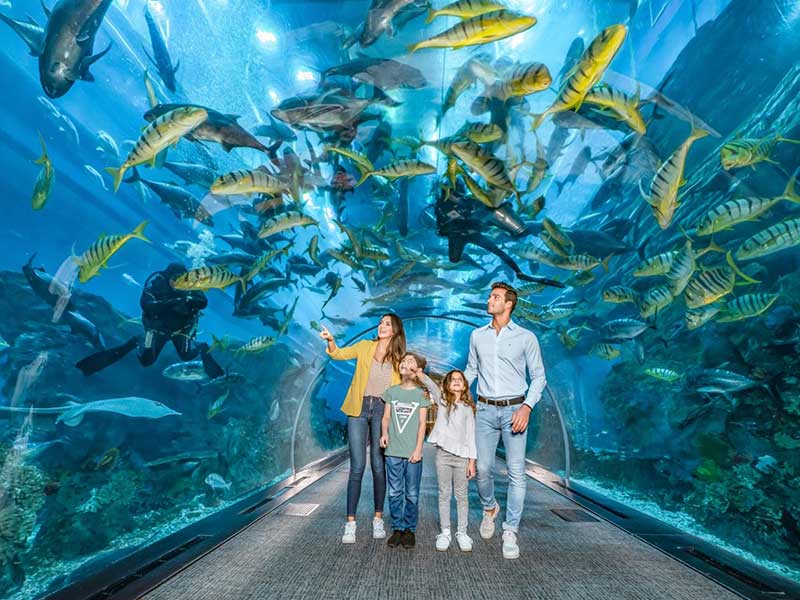 Sea World Dubai Aquarium