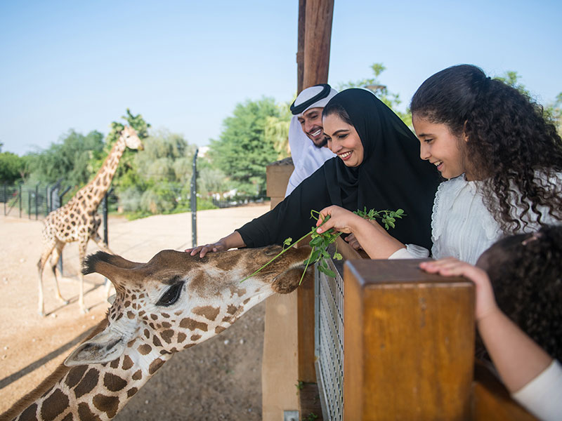Al Ain Zoo
