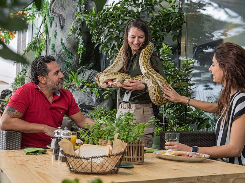 snake at Green Planet Dubai