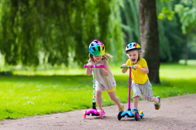 al noor island butterfly house ticket