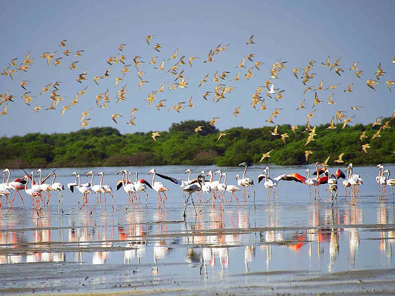 nature landmarks 