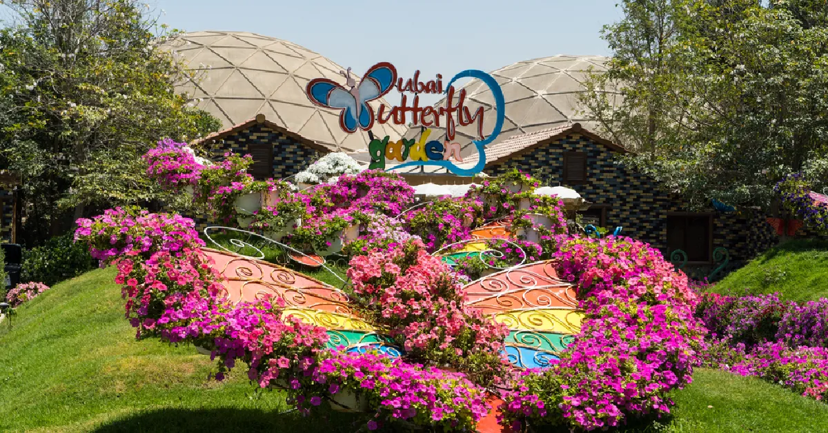 حديقة الفراشات دبي