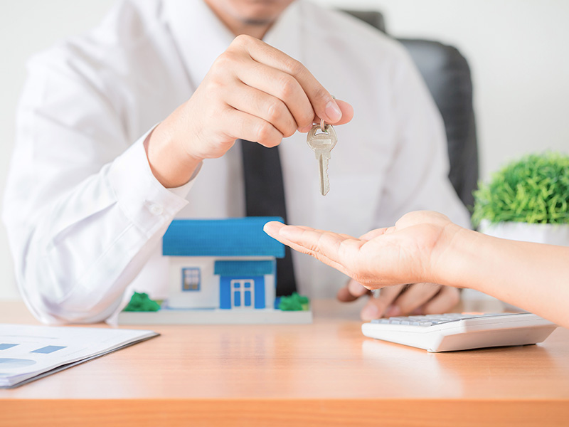 التنظيم العقاري في الامارات 