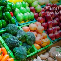 كل ما تريد معرفته عن سوق الخضار عجمان