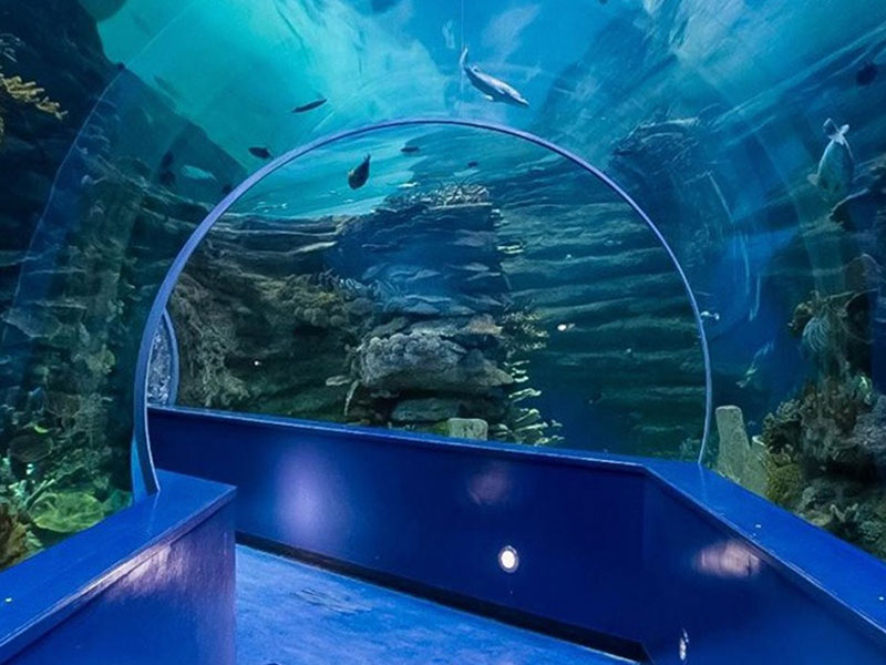 Aquarium tunnel 