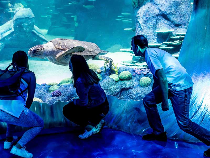  دبي أكواريوم وحديقة الحيوانات المائية 
