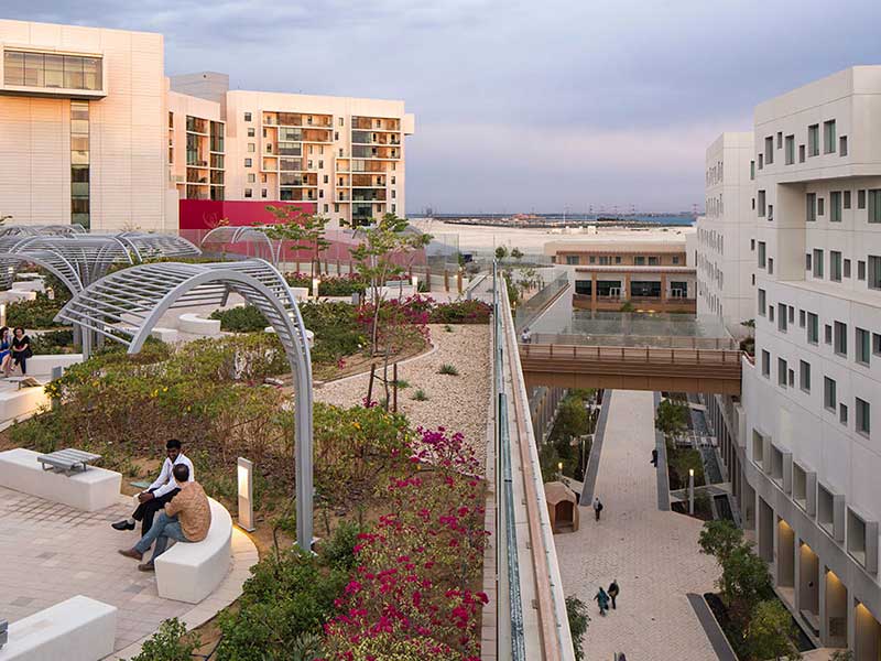 New York University Abu Dhabi colleges 