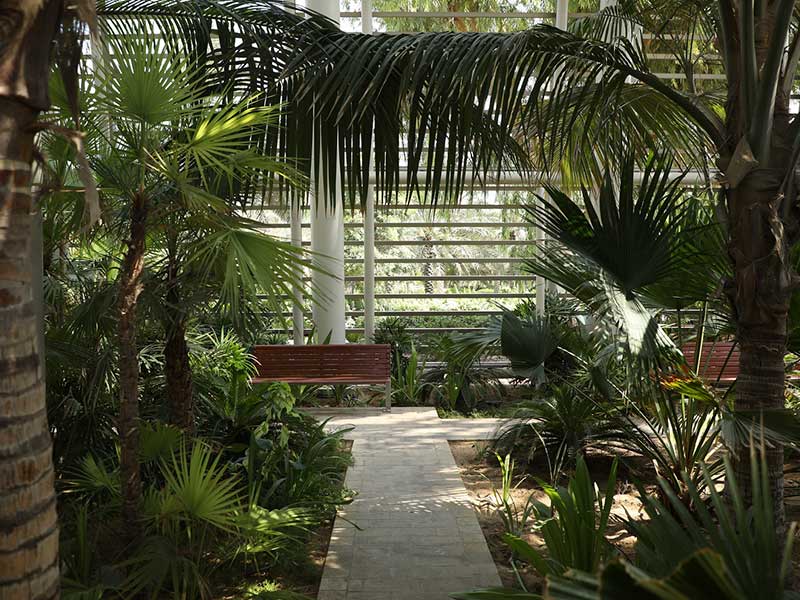 Botanic Garden