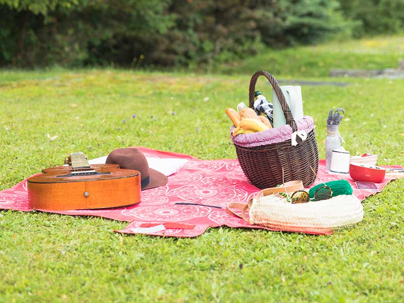 Picnic at the park 