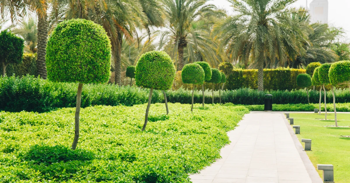 Pathway in a lush park