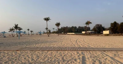 Serene view of Al Mamzar Beach with palm trees during a tranquil sunset in Dubai