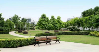 Uptown Mirdif Park: Your Complete Visitor Guide
