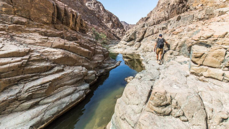 wadi shawka