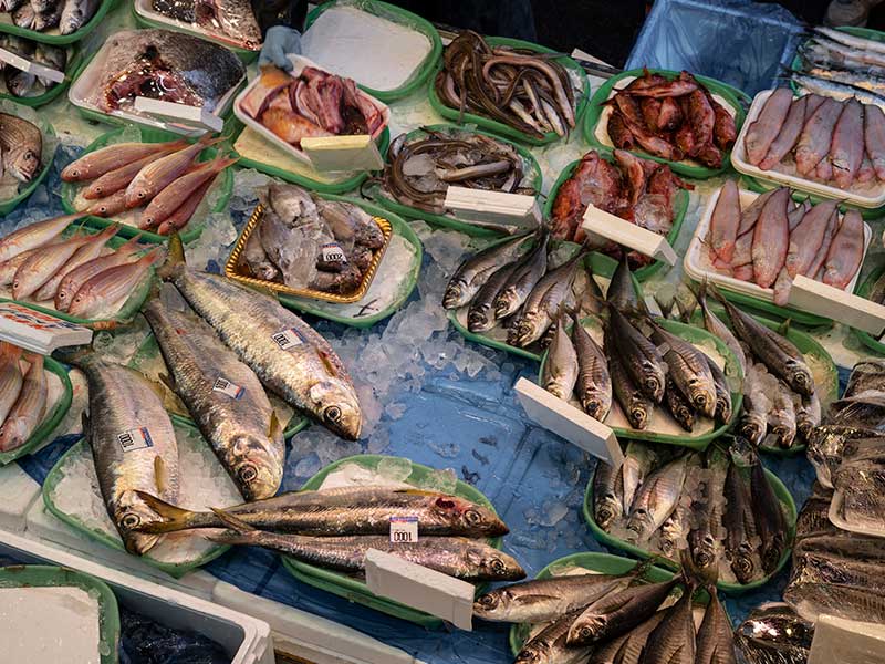 سوق السمك في دبي 