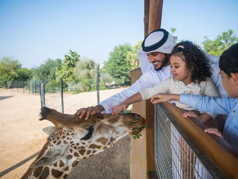 Ajman petting zoo 