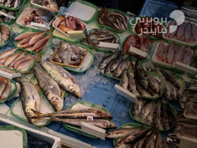 دليل أسواق السمك في دبي