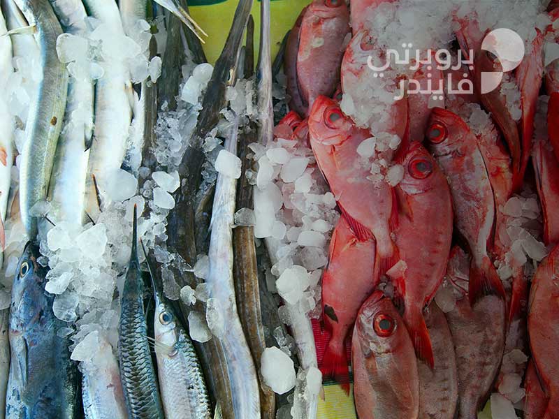دليل سوق السمك في ميناء زايد أبوظبي