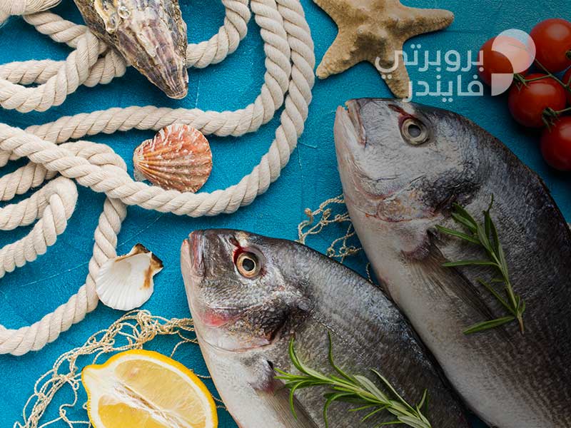 كل ما ترغب بمعرفته عن أسواق السمك في الإمارات
