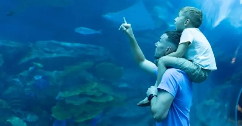 SeaWorld Abu Dhabi