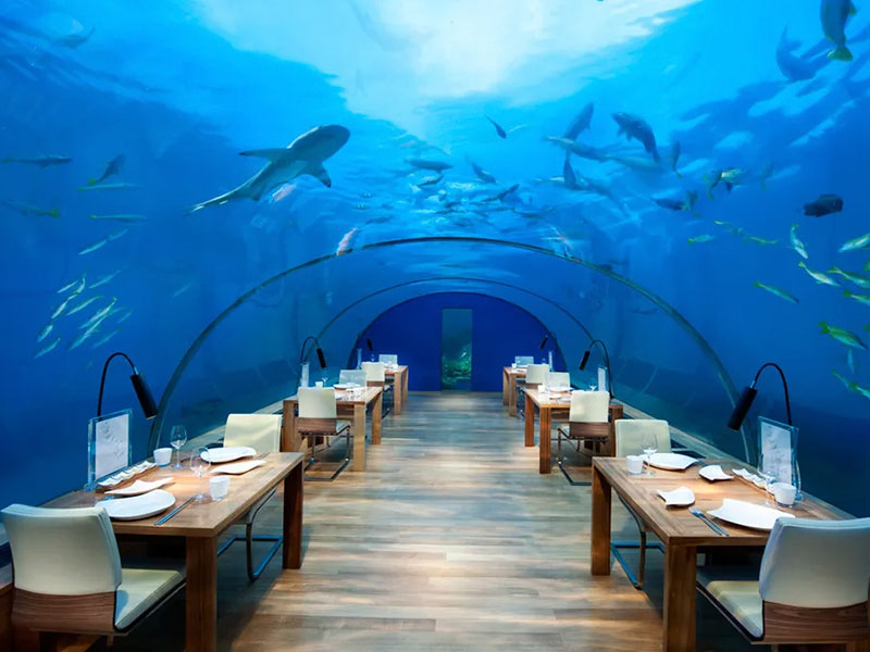 Aquarium Restaurant 