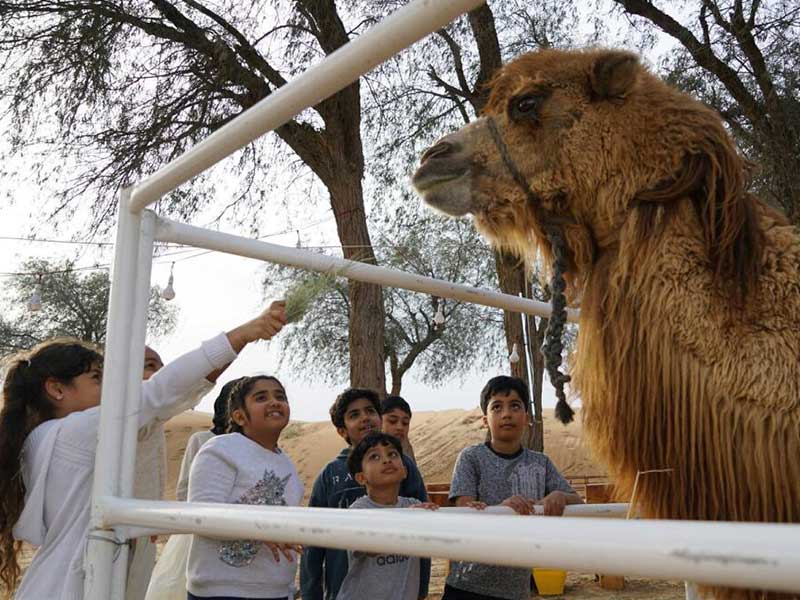 Sharjah Desert Park Zoo for Farm Animals 
