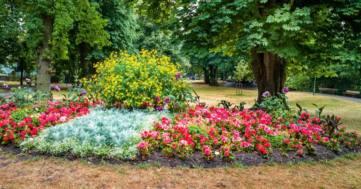 Amenities and park in Quranic Park
