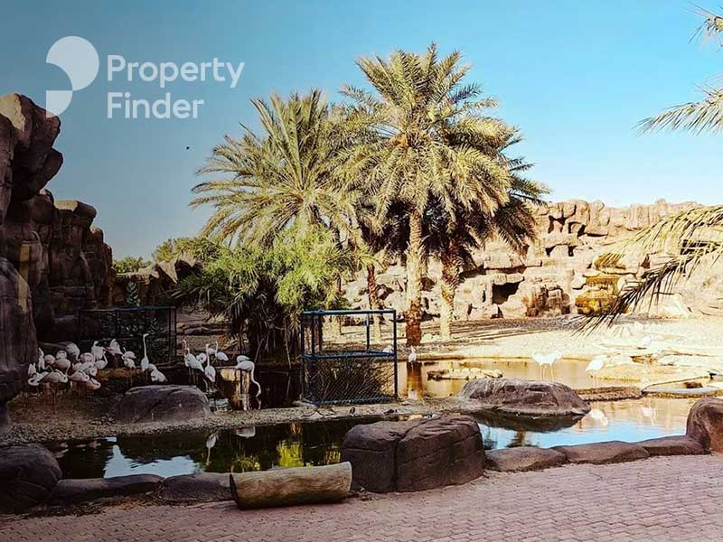 Sharjah Desert Park – A Hidden Gem for New Experiences