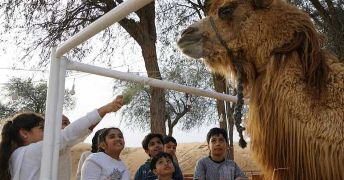 Sharjah Desert Park Zoo for Farm Animals