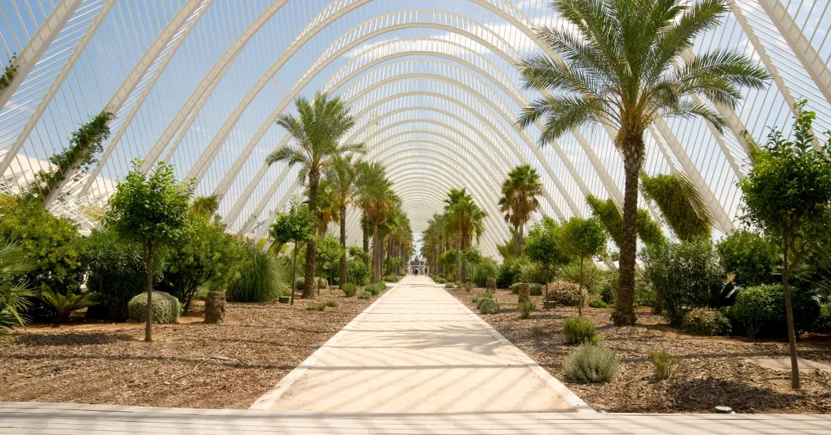 صورة للطبيعة في جزيرة النور في الشارقة