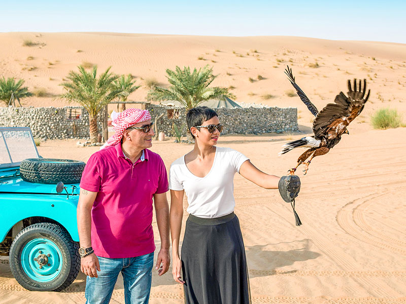 hunting by falcon in the desert 