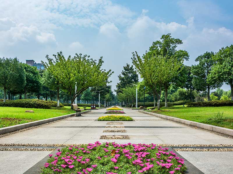 Park