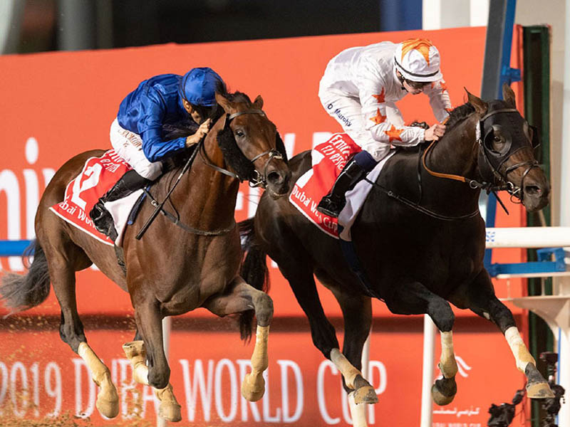 Horse racing Dubai 