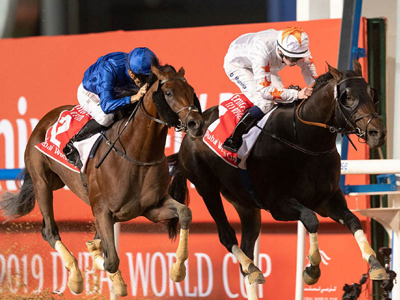 Horse racing Dubai