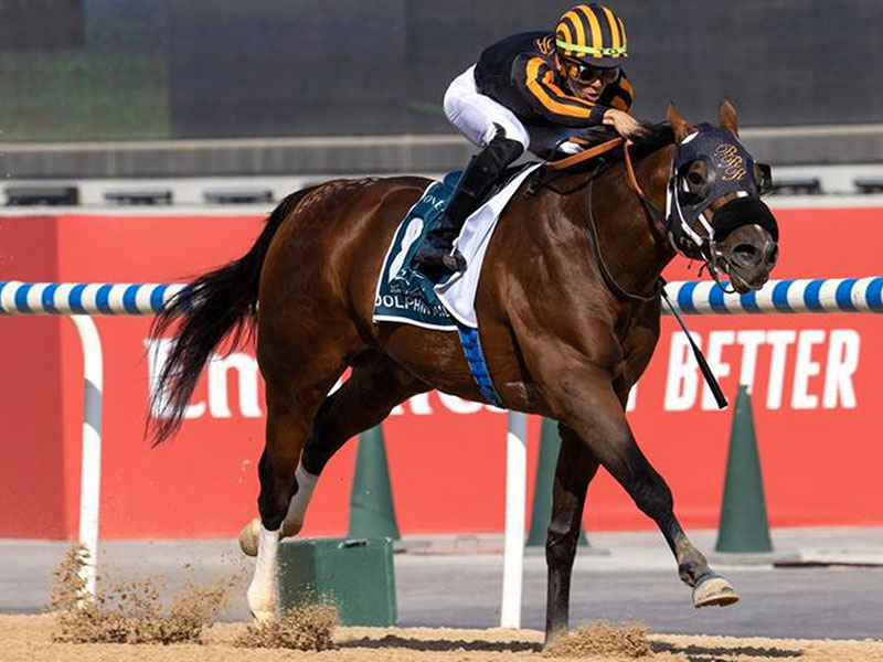 horse racing