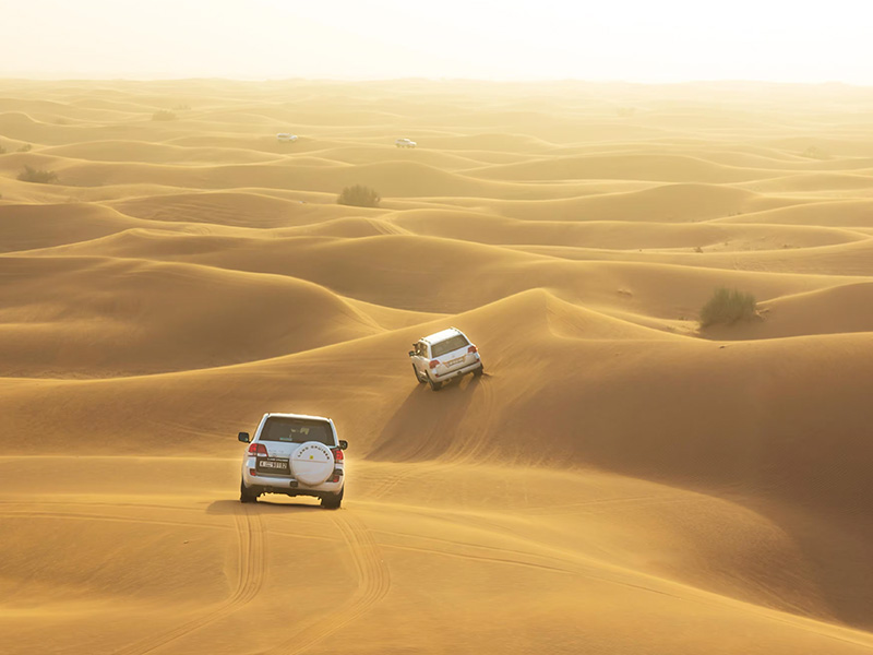 4*4 cars in the desert 
