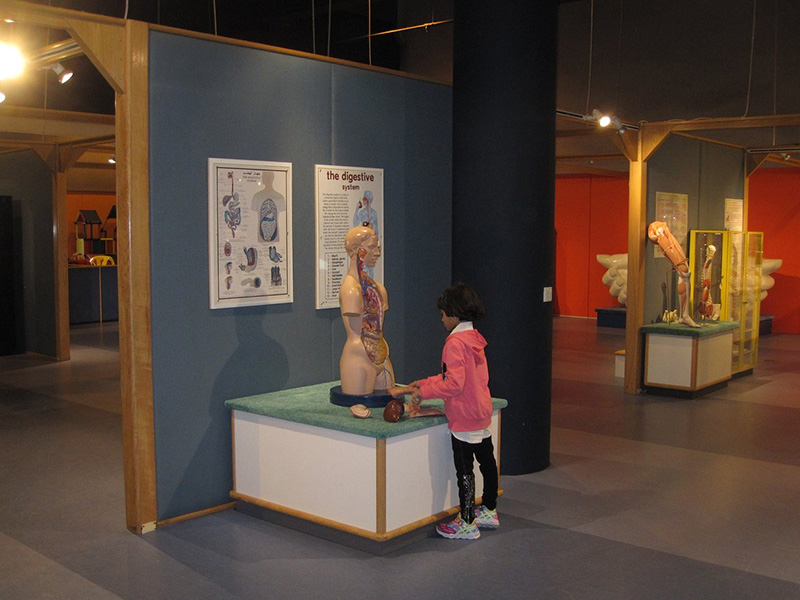 kid in Sharjah Science Museum