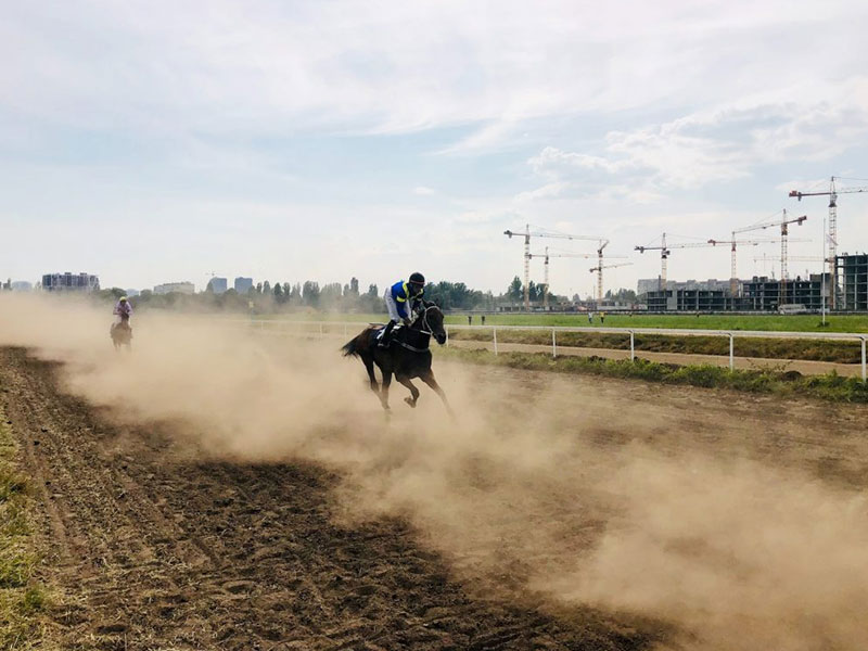 racecourse