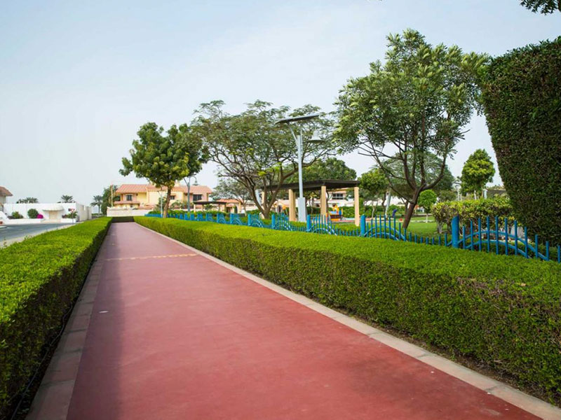 walking lane at Al Sufouh Park 