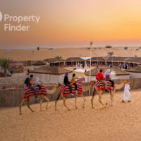 Everything to Know About Desert Safari Dubai