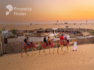 Everything to Know About Desert Safari Dubai