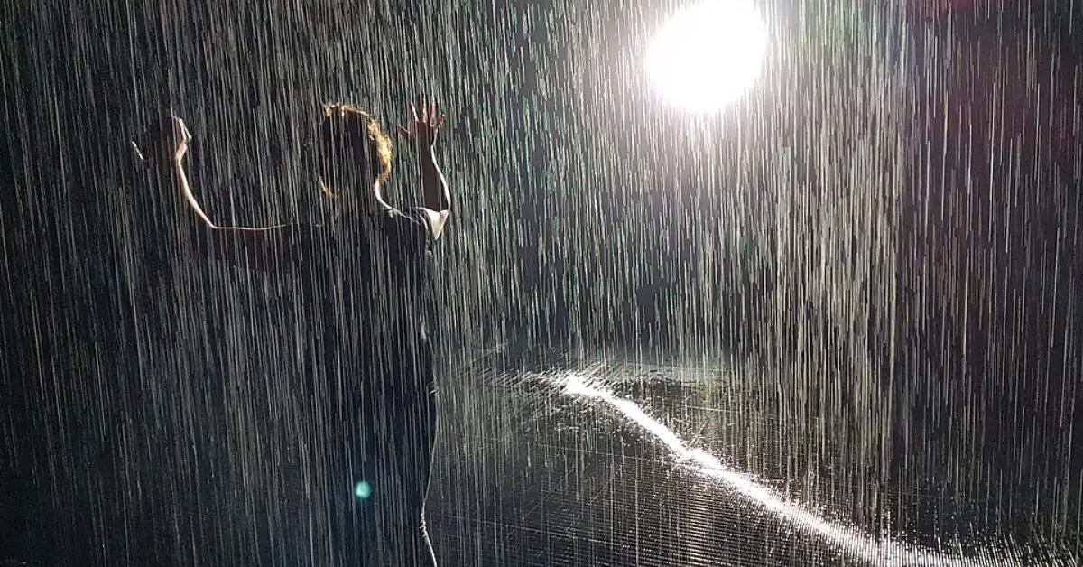 Rain Room Sharjah