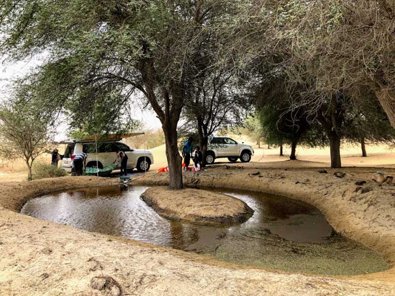 زوار بحيرة القدرة