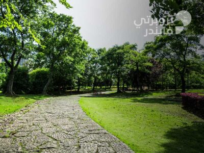 دليلك الشامل حول حديقة العائلة في أبوظبي