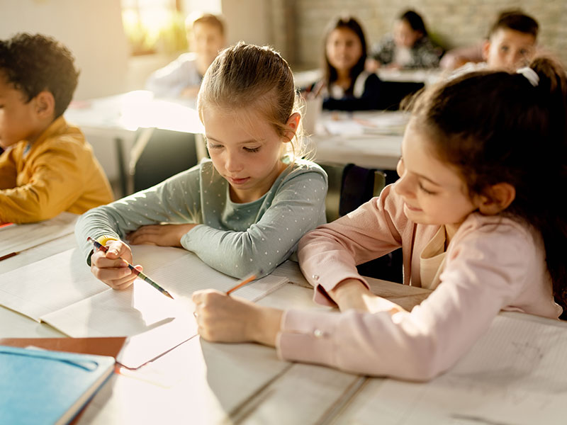  school in barsha