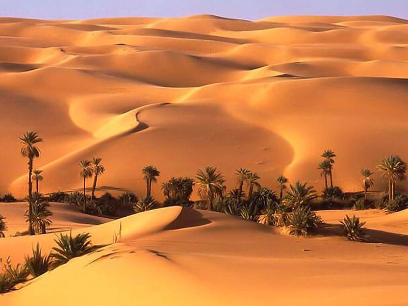 الكثبان الرملية في تل مرعب