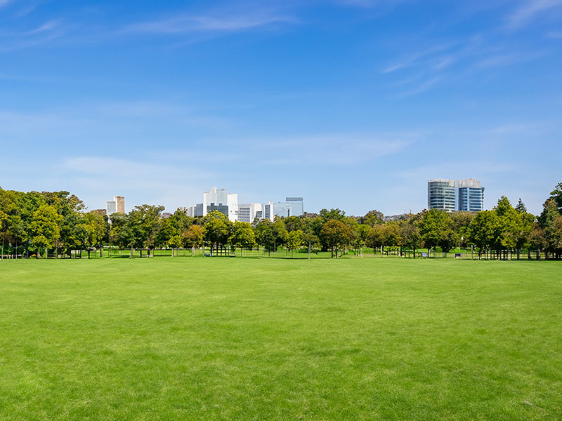 park 