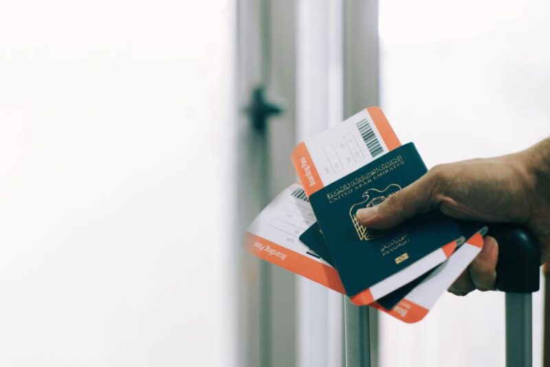 Family Visa Status Check