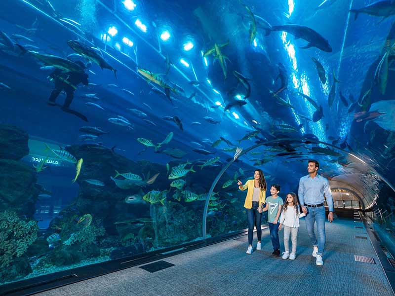 aquarium 