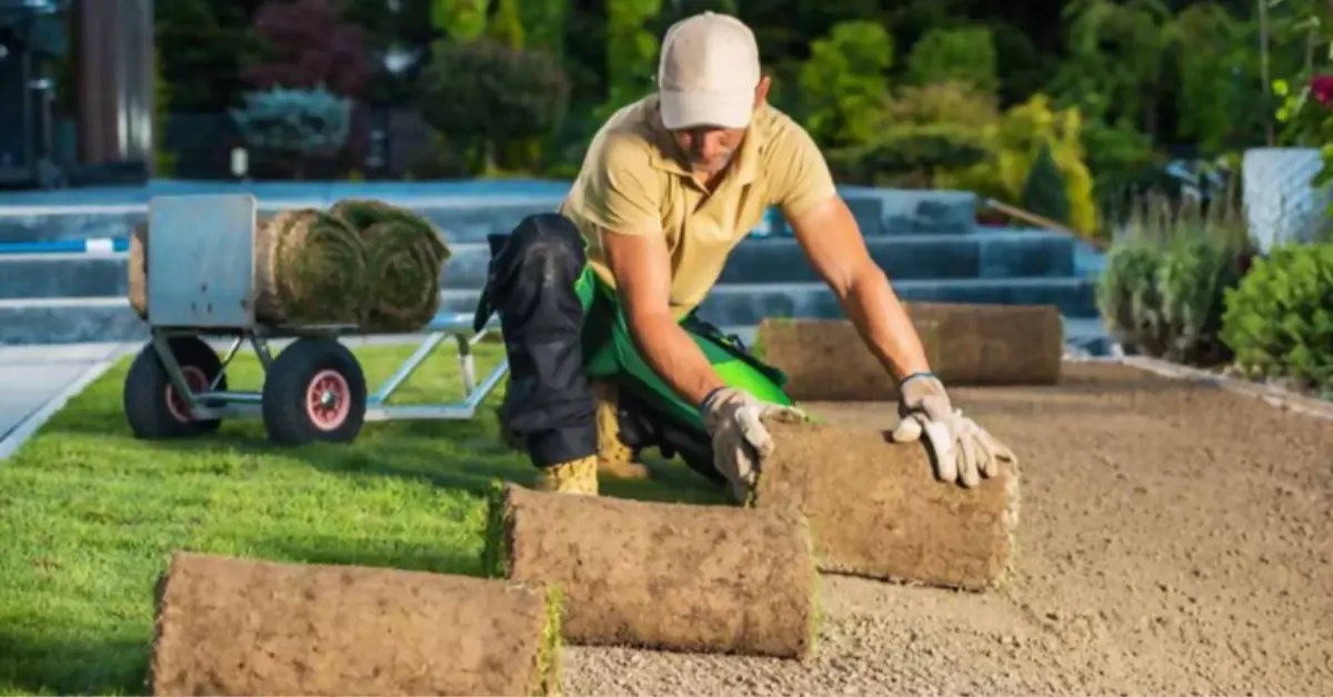 Gardening care